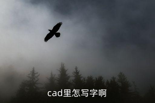cad里怎寫字啊
