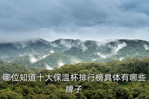 中國十大保溫杯品牌排行榜，哪位知道十大保溫杯排行榜具體有哪些牌子