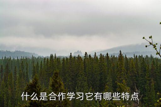什么是合作學(xué)習(xí)它有哪些特點(diǎn)
