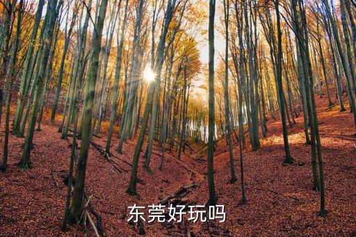 東莞旅游好玩兒么，東莞好玩嗎