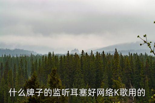 什么牌子的監(jiān)聽(tīng)耳塞好網(wǎng)絡(luò)K歌用的