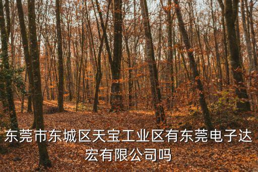 東莞市東城區天寶工業區有東莞電子達宏有限公司嗎