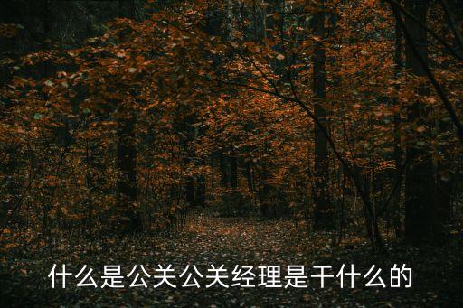 什么是公關(guān)公關(guān)經(jīng)理是干什么的