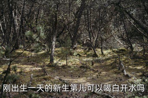 剛出生一天的新生第兒可以喝白開水嗎