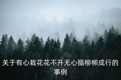 關(guān)于有心栽花花不開無心插柳柳成行的事例