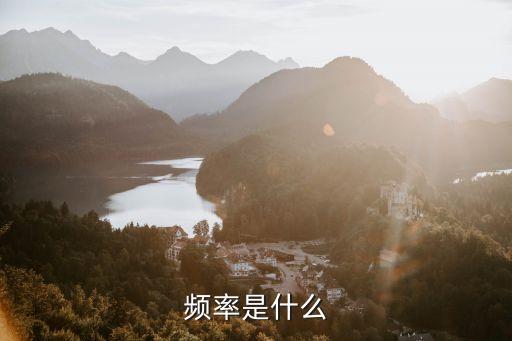 頻率是什么