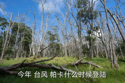 今年 臺風 帕卡什么時候登陸