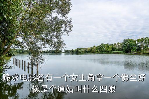 跪求電影名有一個(gè)女主角拿一個(gè)佛塵好像是個(gè)道姑叫什么四娘