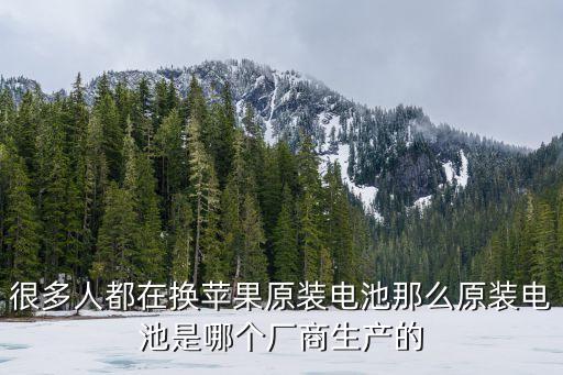 很多人都在換蘋(píng)果原裝電池那么原裝電池是哪個(gè)廠商生產(chǎn)的