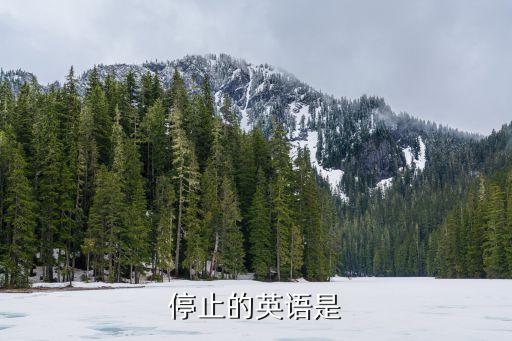 停止的英語是