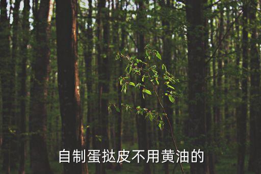 無(wú)黃油自制蛋撻皮，自制蛋撻皮不用黃油的