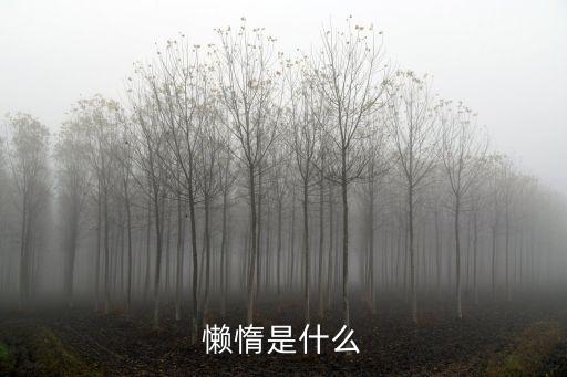 懶惰，懶惰的意思是什么