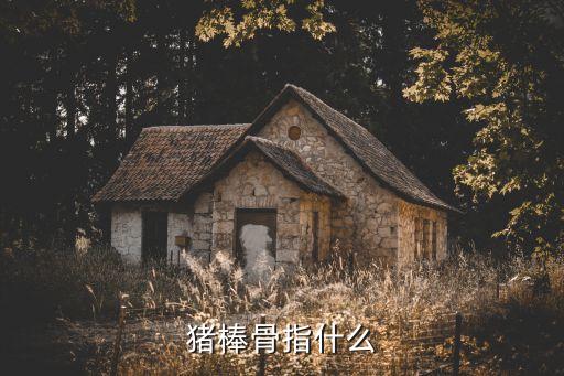 豬棒骨指什么