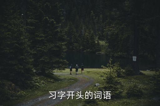 習字開頭的成語，習字開頭的成語