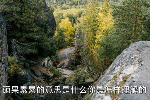 碩果累累什么意思，碩果累累的意思是什么你是怎樣理解的