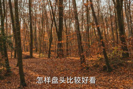 怎樣盤頭比較好看