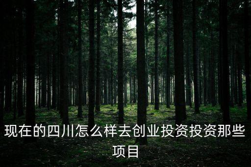 四川創業，想創業現在四川成都這邊做啥生意好做啊有啥好的小項目沒合作