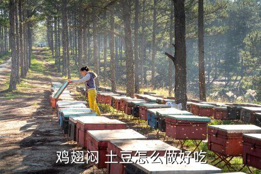 雞翅悶 土豆怎么做好吃