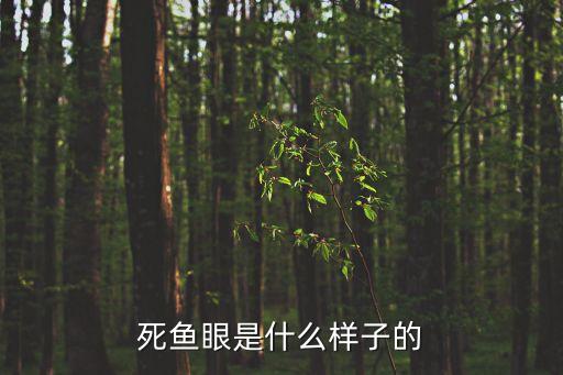死魚眼是什么樣子的