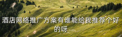 酒店網絡推廣方案有誰能給我推薦個好的呀