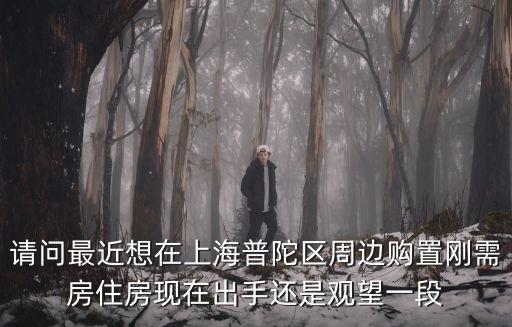 請問最近想在上海普陀區(qū)周邊購置剛需房住房現(xiàn)在出手還是觀望一段