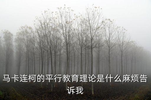 馬卡連柯的平行教育理論是什么麻煩告訴我