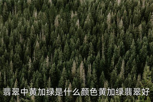 翡翠中黃加綠是什么顏色黃加綠翡翠好