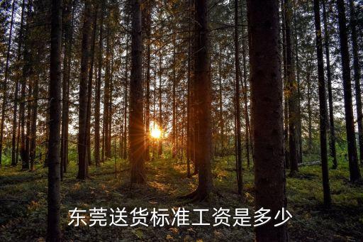 東莞送貨標準工資是多少