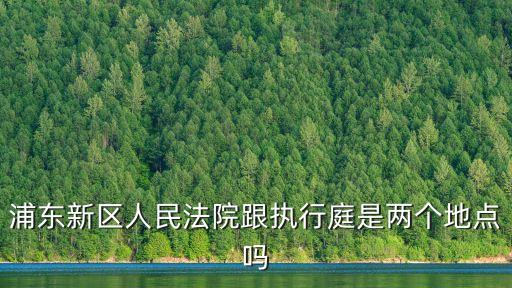 浦東新區人民法院跟執行庭是兩個地點嗎
