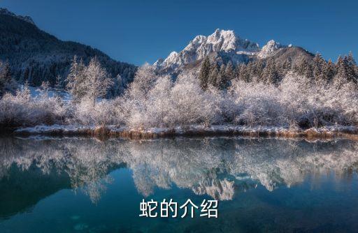 蛇的介紹，蛇的介紹