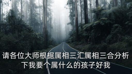 請各位大師根據(jù)屬相三匯屬相三合分析下我要個屬什么的孩子好我