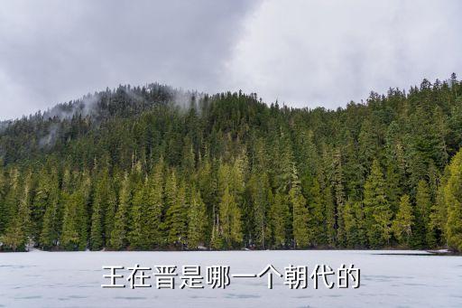 王在晉是哪一個朝代的