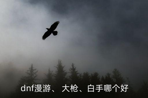dnf大槍吧,大槍是高產出職業，血厚嚴危害大