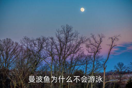 曼波魚，曼波魚為什么不會游泳
