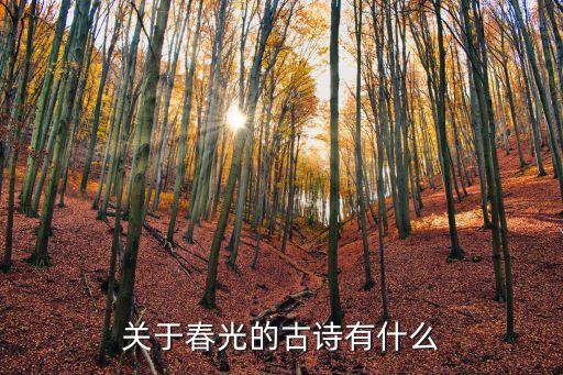 描寫春光的詩句，寫春光的詩句