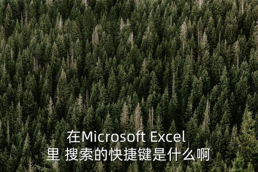 excel查找快捷鍵是什么，在EXCEL表格中查找的快捷鍵是什么呢
