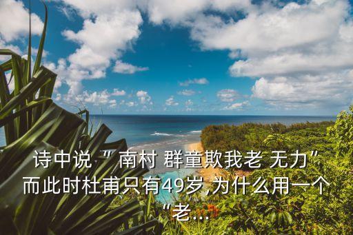 詩(shī)中說“ 南村 群童欺我老 無力”而此時(shí)杜甫只有49歲,為什么用一個(gè)“老...