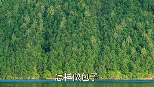 怎樣做包子