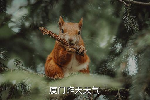 廈門昨天天氣
