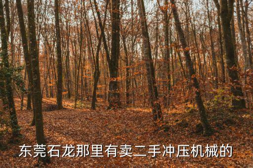 東莞二手沖擊夯，東莞石龍那里有賣二手沖壓機械的