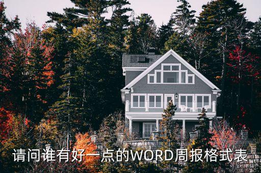 請問誰有好一點的WORD周報格式表