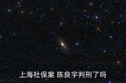 近年來上海市詐騙醫保案有哪些，上海社保案 陳良宇判刑了嗎