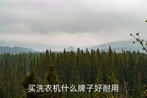 洗衣機(jī)哪個牌子好用又耐用，買洗衣機(jī)什么牌子好耐用