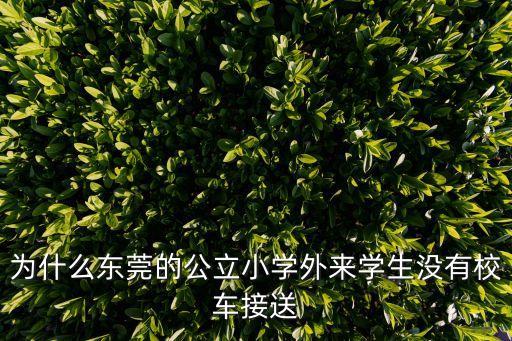 東莞2017公辦學校午托，為什么東莞的公立小學外來學生沒有校車接送