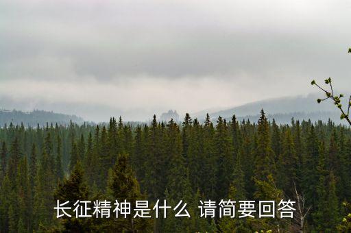 長征精神是什么 請簡要回答
