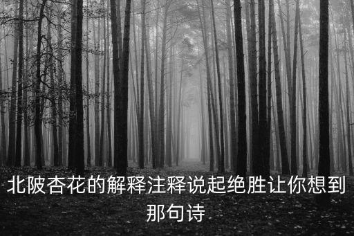 北陂杏花的解釋注釋說起絕勝讓你想到那句詩