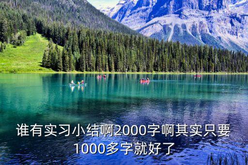 誰有實習小結啊2000字啊其實只要1000多字就好了