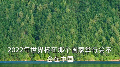 2022年世界杯在那個國家舉行會不會在中國