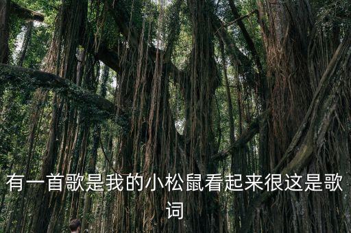 有一首歌是我的小松鼠看起來很這是歌詞