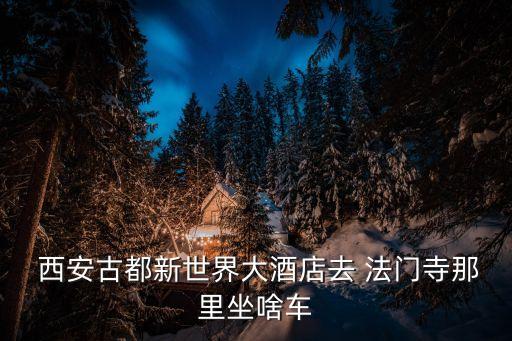 西安新法門寺,西安旅游攻略:門票免費乘車到法門寺
